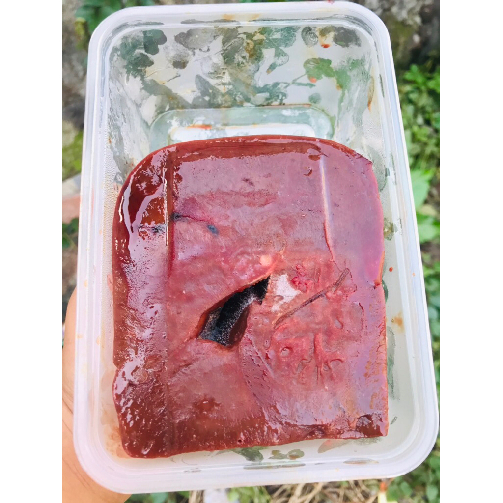 

Hati sapii 1kg