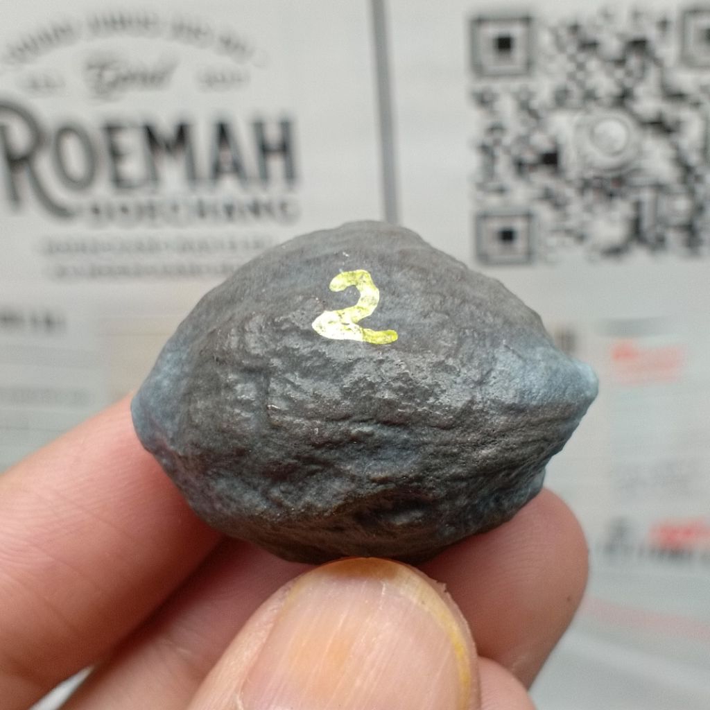 Muncang Adu Anak MD dedi kode 2