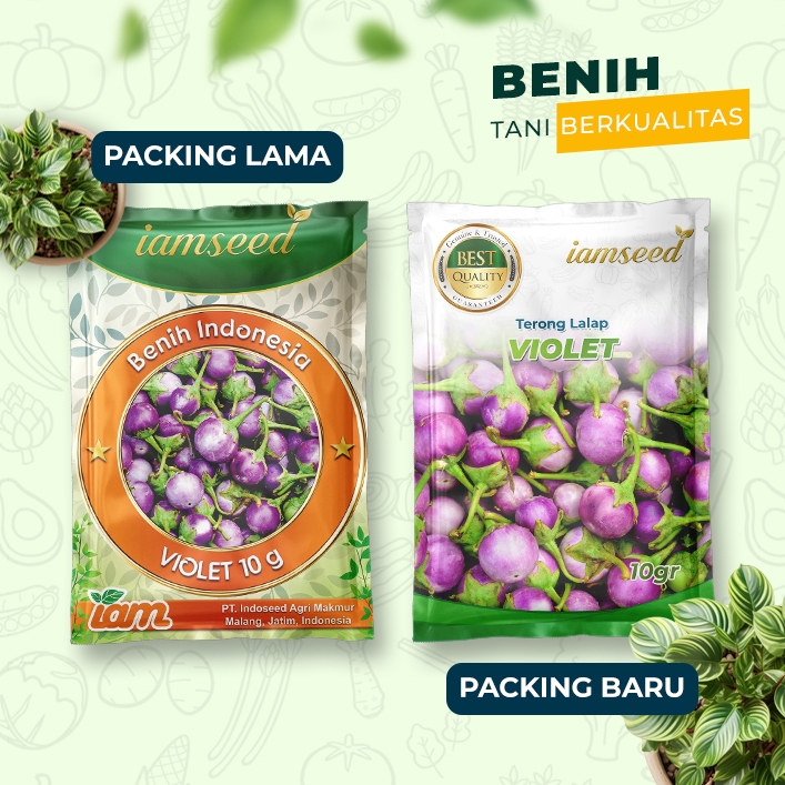 

Violet 10gr | Terong lalap
