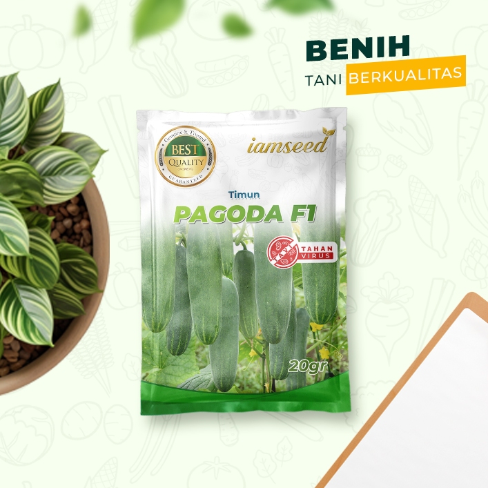 

Pagoda F1 20gr | Timun