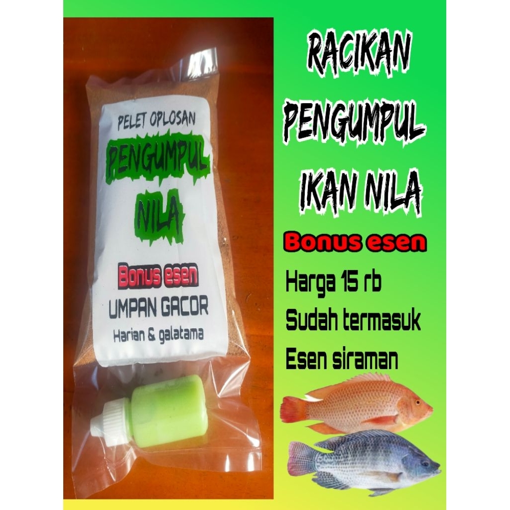 esen pengumpul ikan nila umpan ikan nila liar atau kolam kempros umpan nila lomba atau galatama pele