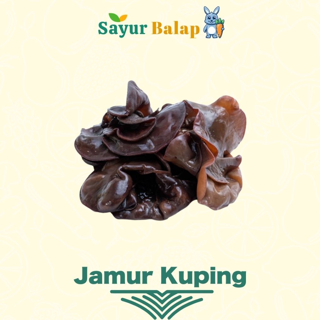 

Jamur Kuping - 1 Plastik - Sayur Balap Lampung