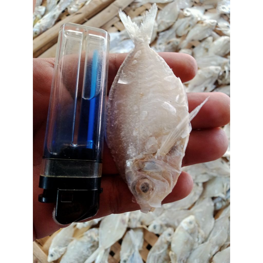 

ikan kapasan khas Madura
