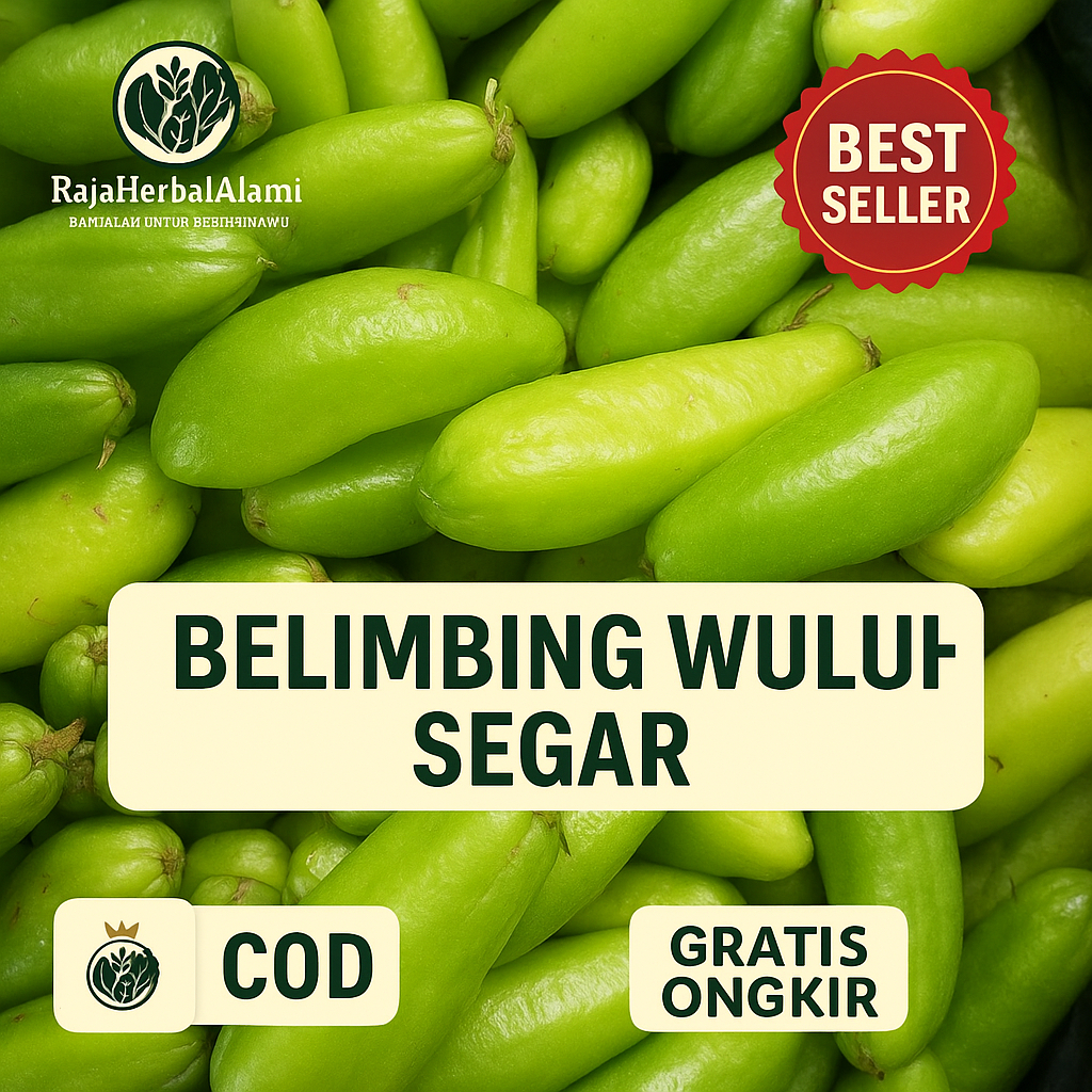 

Buah Belimbing Wuluh Segar 500 Gram Siap Olah | COD