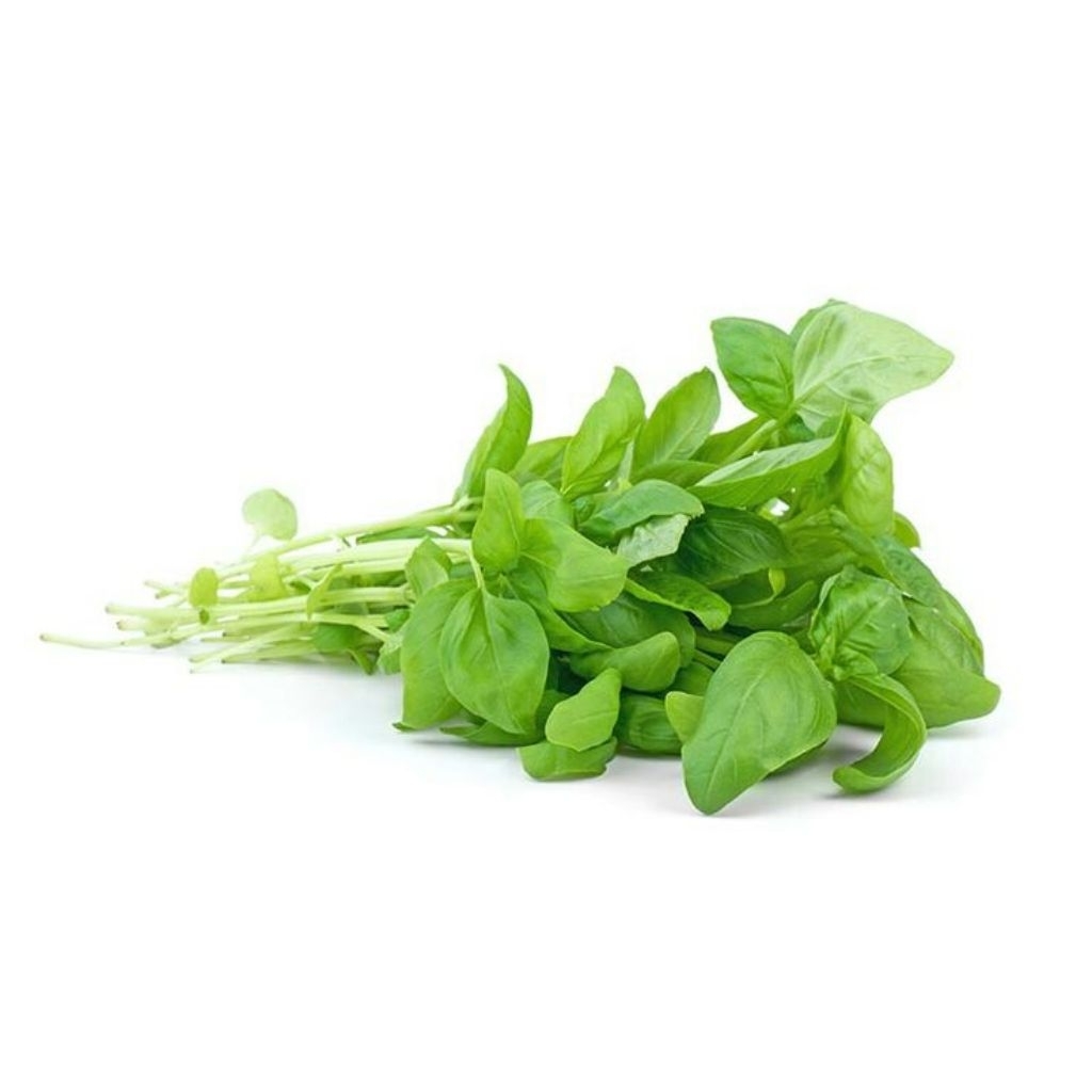 

1 ikat sayur bayam Fresh - surabaya