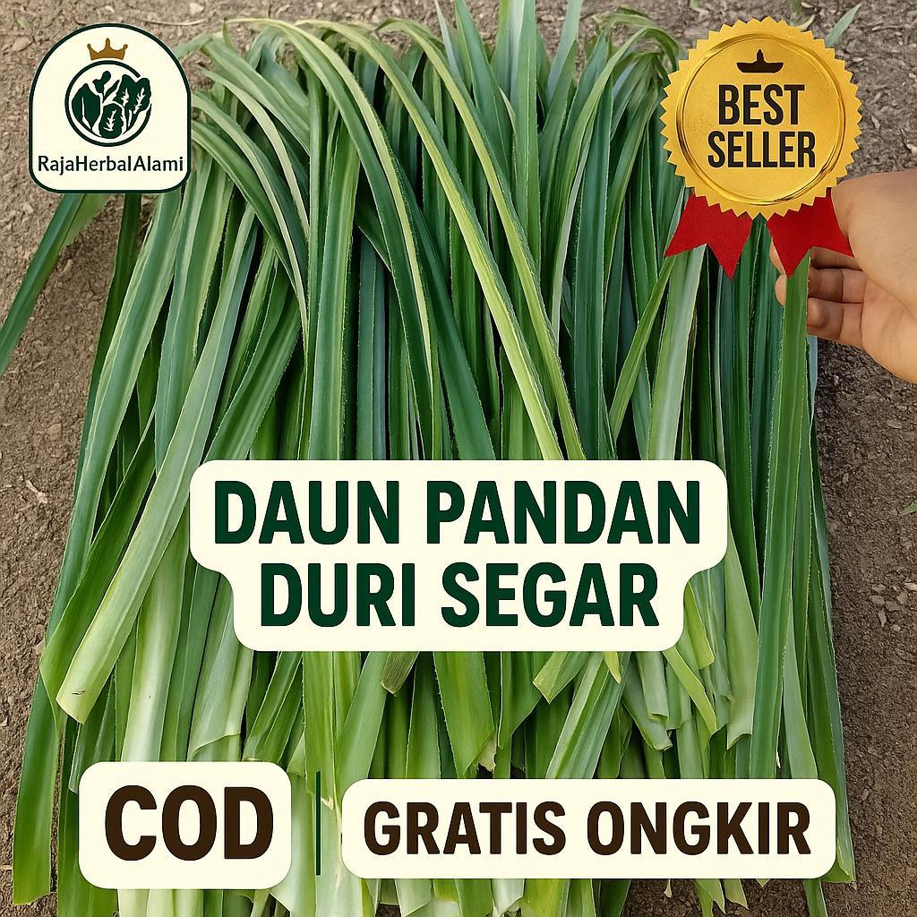 

Daun Pandan Duri Segar Per 20 Lembar Siap Olah | COD