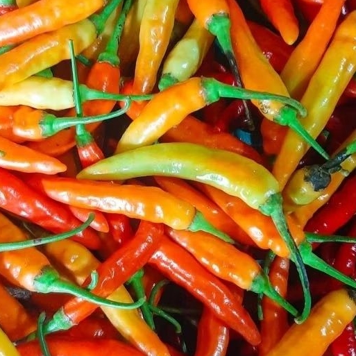 

100gr cabe rawit - Surabaya