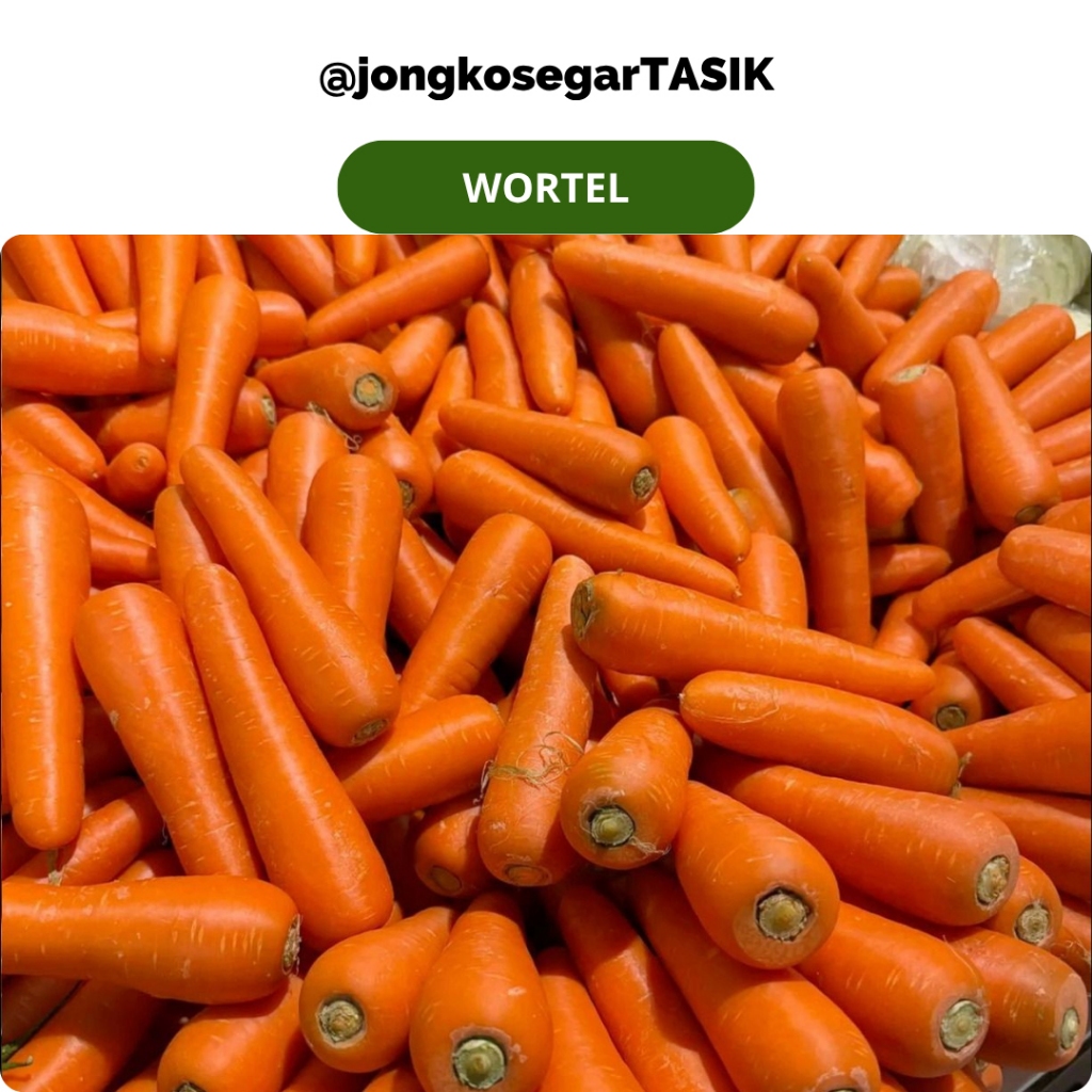 

jongkosegarTASIK - Wortel Segar Fresh 250-500 gram