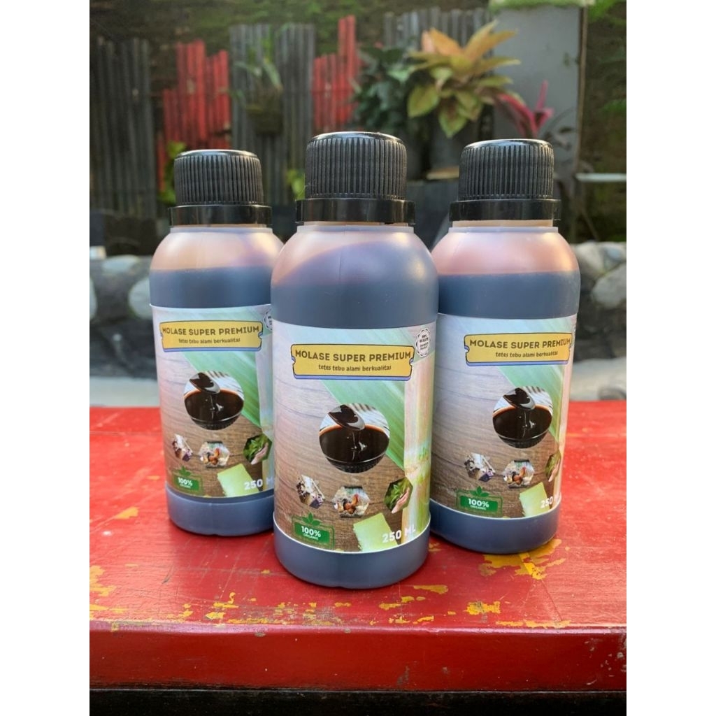 MOLASE SUPER PREMIUM TETES TEBU MURNI