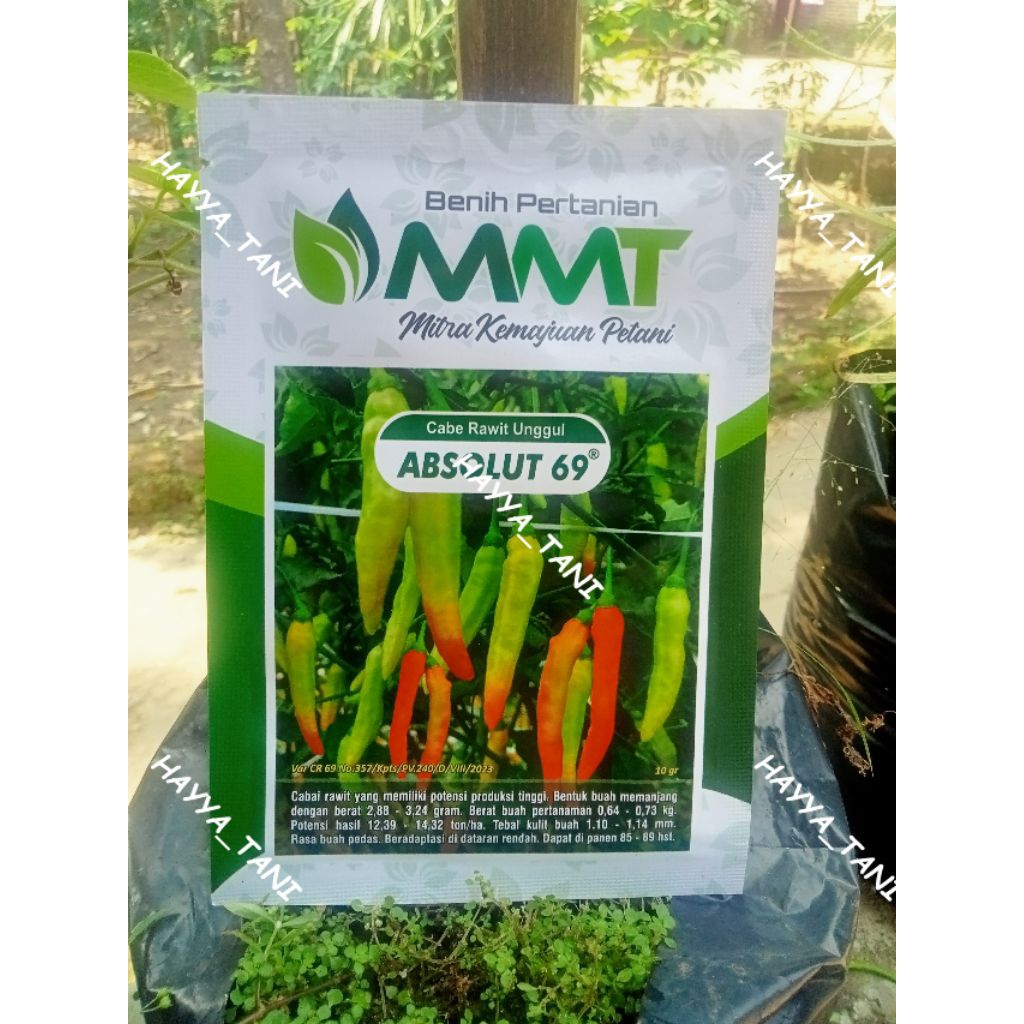 Benih Pertanian cabe rawit unggul ABSOLUT 69