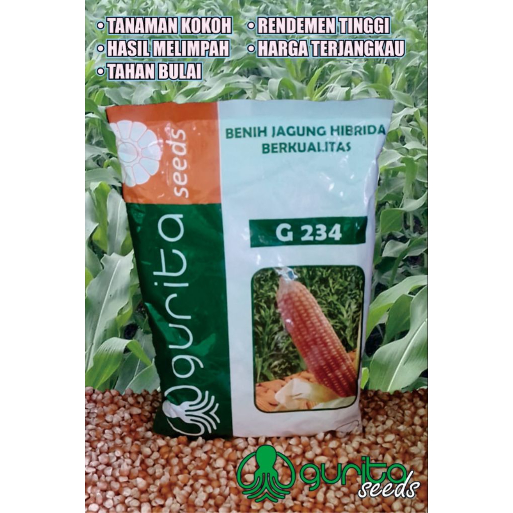 

Benih Jagung Gurita 234