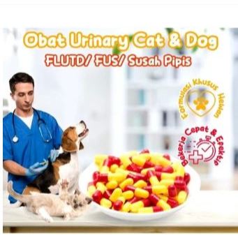 OBAT URINARY ANJING - Obat Anjing Puppy FLUTD FUS Kencing Darah Kencing Nanah Infeksi Saluran Kencin