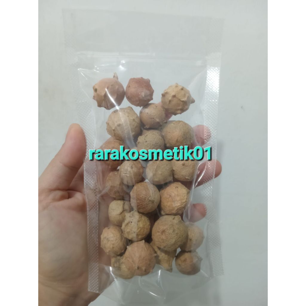 

BUAH MANJAKANI KUALITAS BAGUS PREMIUM