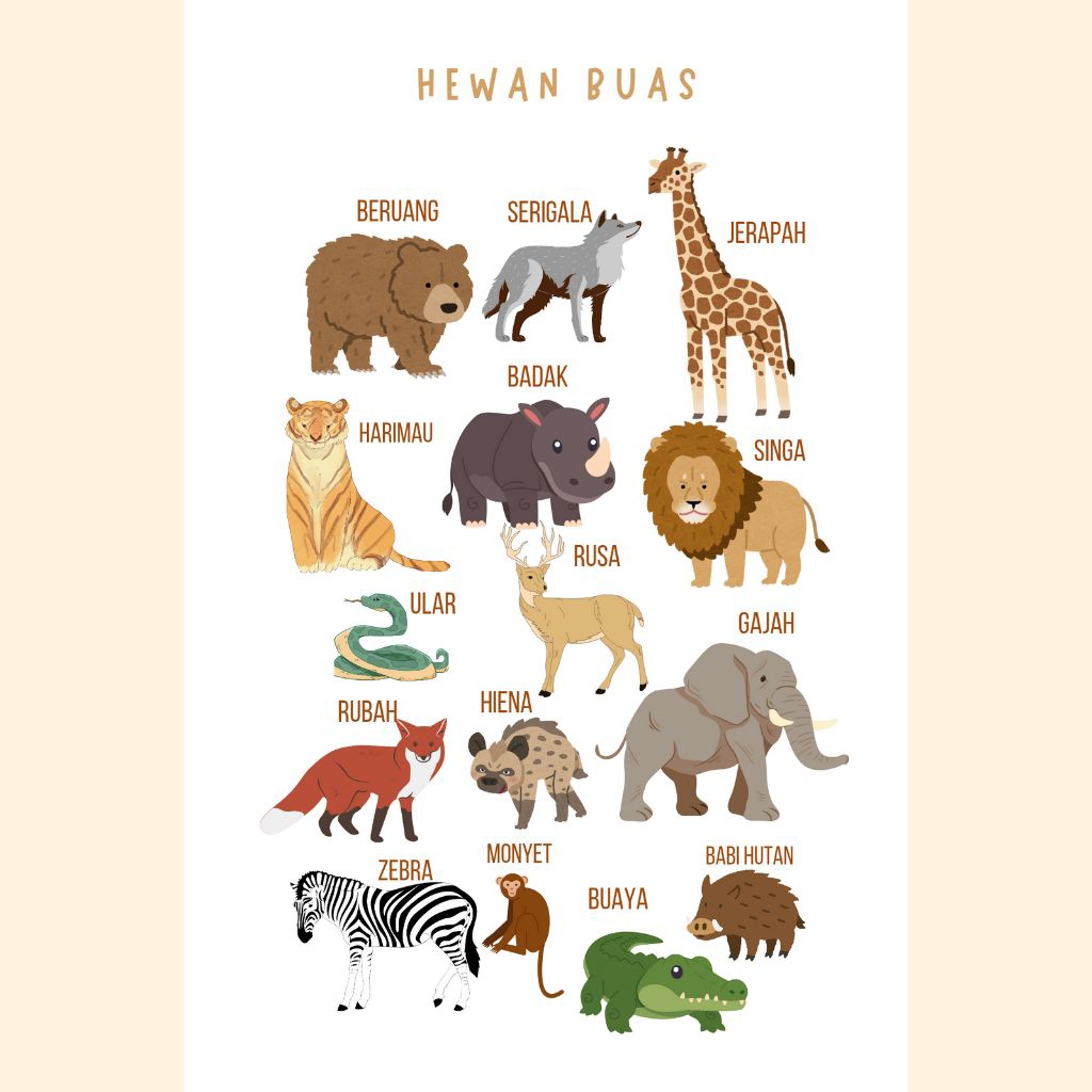 POSTER EDUKASI ANAK HEWAN BUAS