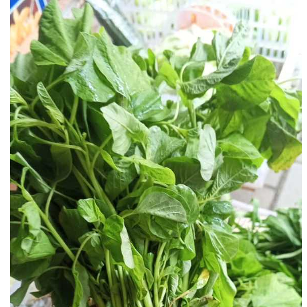 

Daun Bayam Segar Dan Per iket