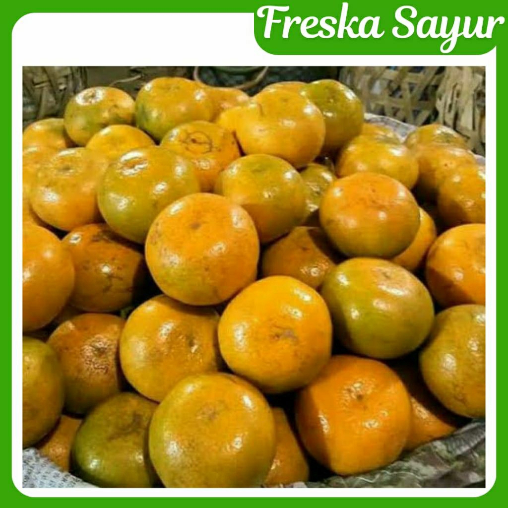 

Jeruk Medan 2 Kg | Jeruk Berastagi Manis
