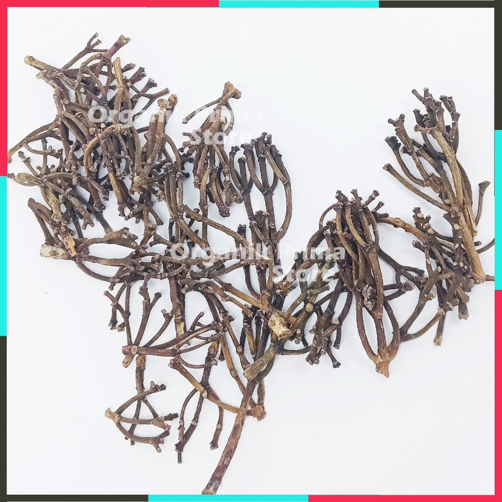 

Batang Cengkeh 500gr Gagang Cengkih Asli Bersih dan Organik