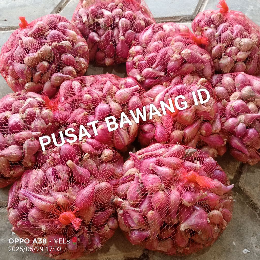 

BAWANG BREBES SUPER FRESH - 1 KG TERLARIS