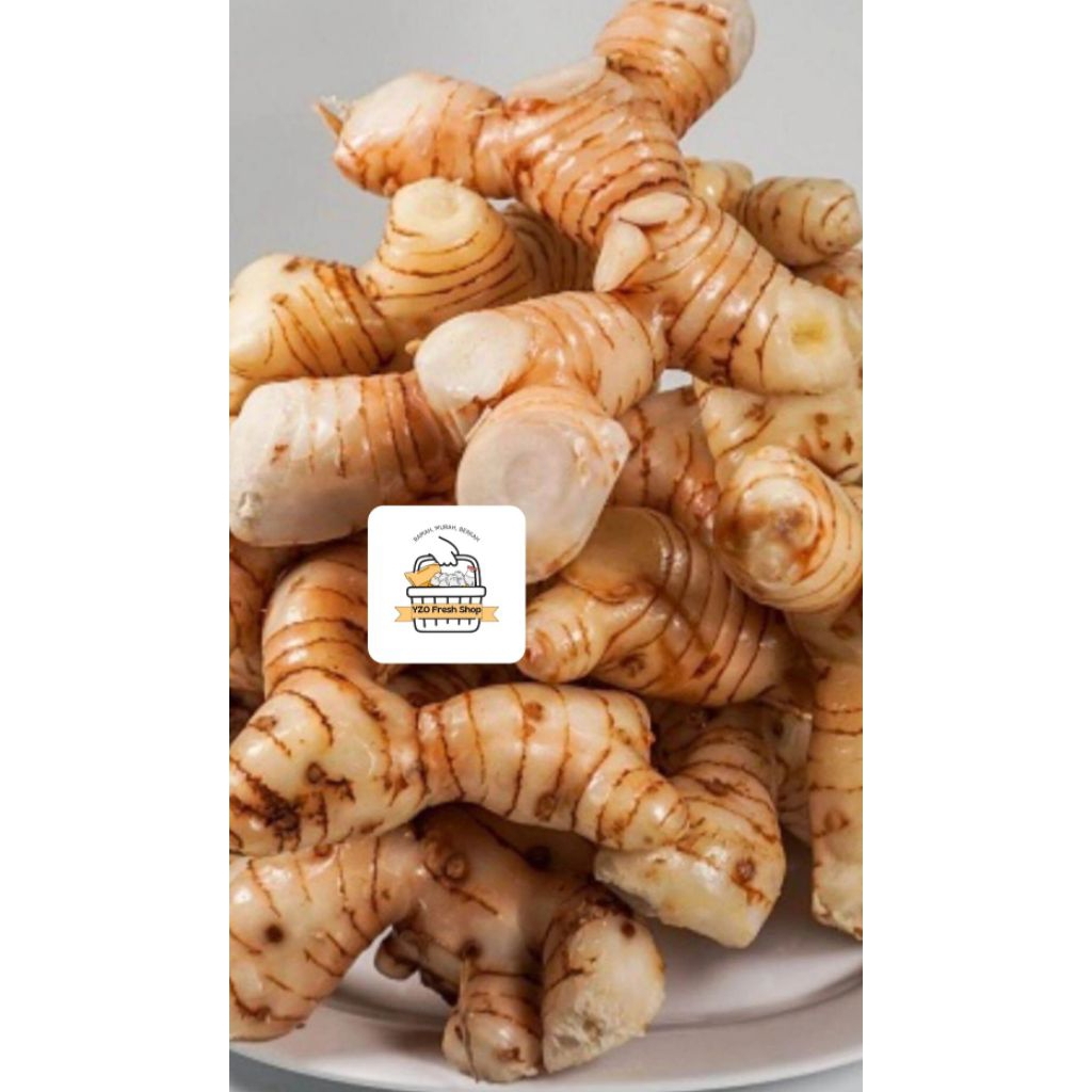 

Lengkuas / Bumbu Dapur Lengkuas / isi 100gram