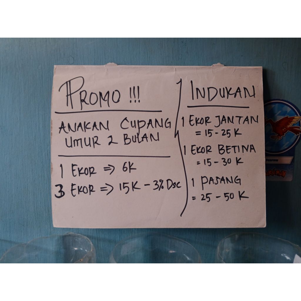 IKAN CUPANG HALFMOON_Ikan cupang Jantan Betina termurah berkualitas.....