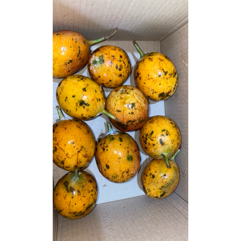 

buah markisa premium import