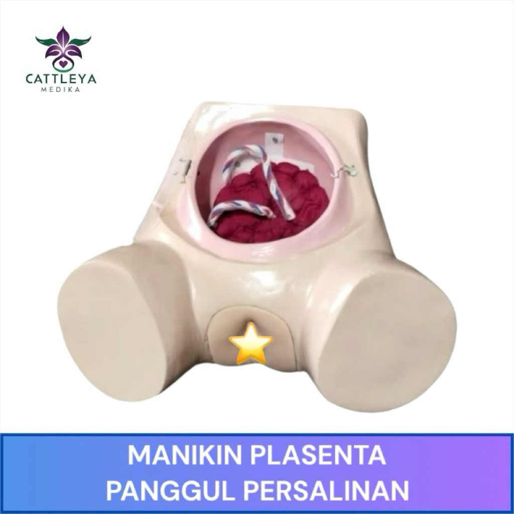 Phantom Manikin Plasenta Panggul Persalinan / Manikin Panggul Manual Plasenta