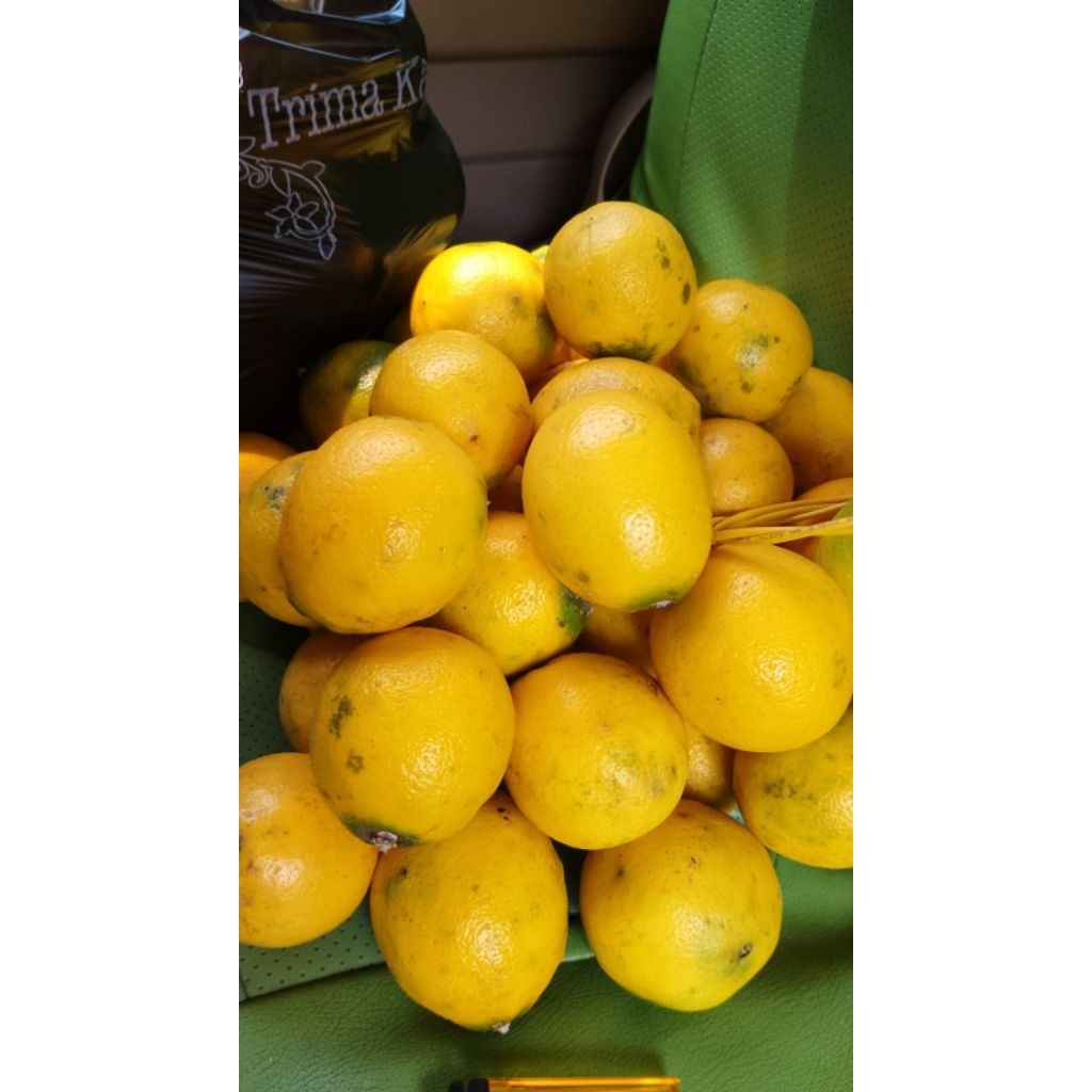 

lemonCalifornia