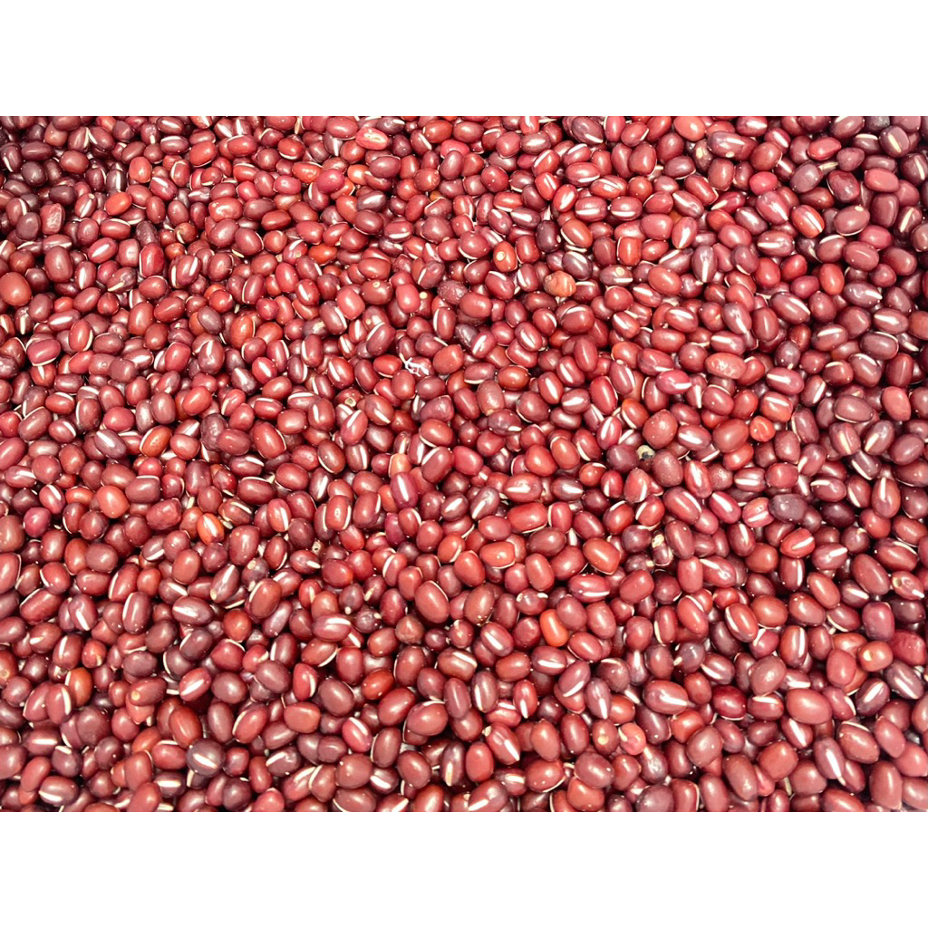

Kacang Merah Adzuki Read Beans 1KG
