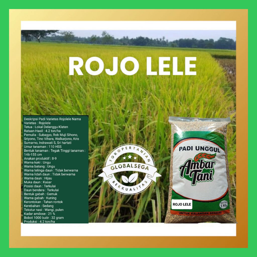 Benih Padi Bibit Padi ROJO LELE Kemasan 5KG