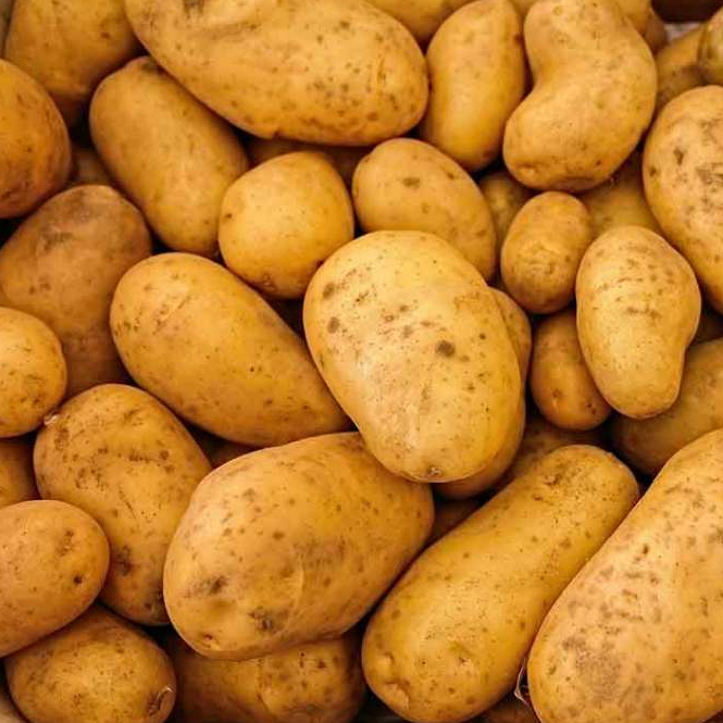 

Kentang Fress Super Pilihan 250 gr