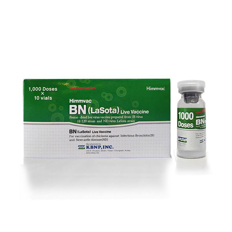 Vaksin ND IB BN Lasota live vaccine himmvac Dosis 1000 Ekor + pelarut 2 botol Untuk Mencegah Tetelo 