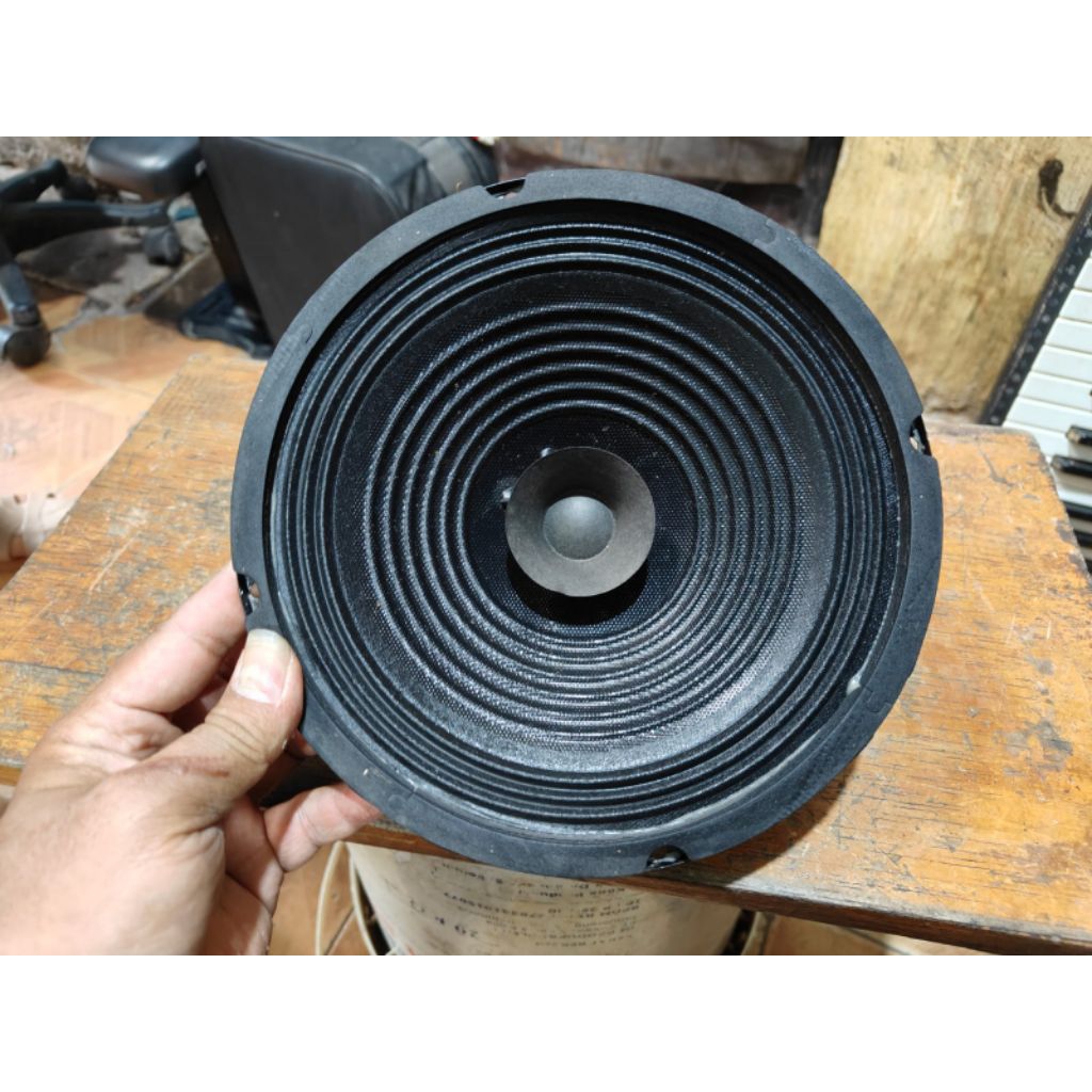 speaker subwoofer 10 inch