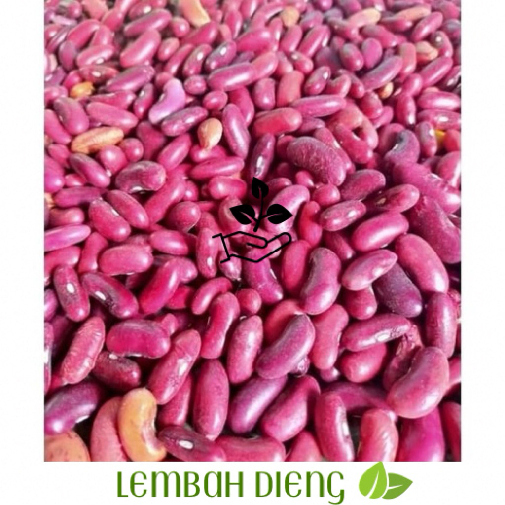 

Lembah | Kacang merah kering (red kidney bean) PROMO HARGA TERMURAH
