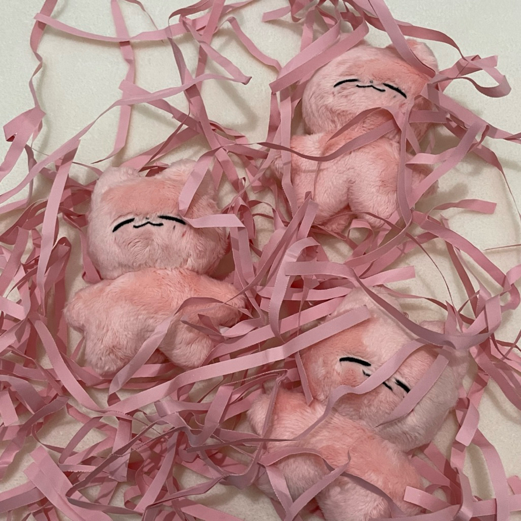 JUAL DOLL JAENYANG JAEHYUN NCT 127 OFFICIAL MAKERNIM MURAH