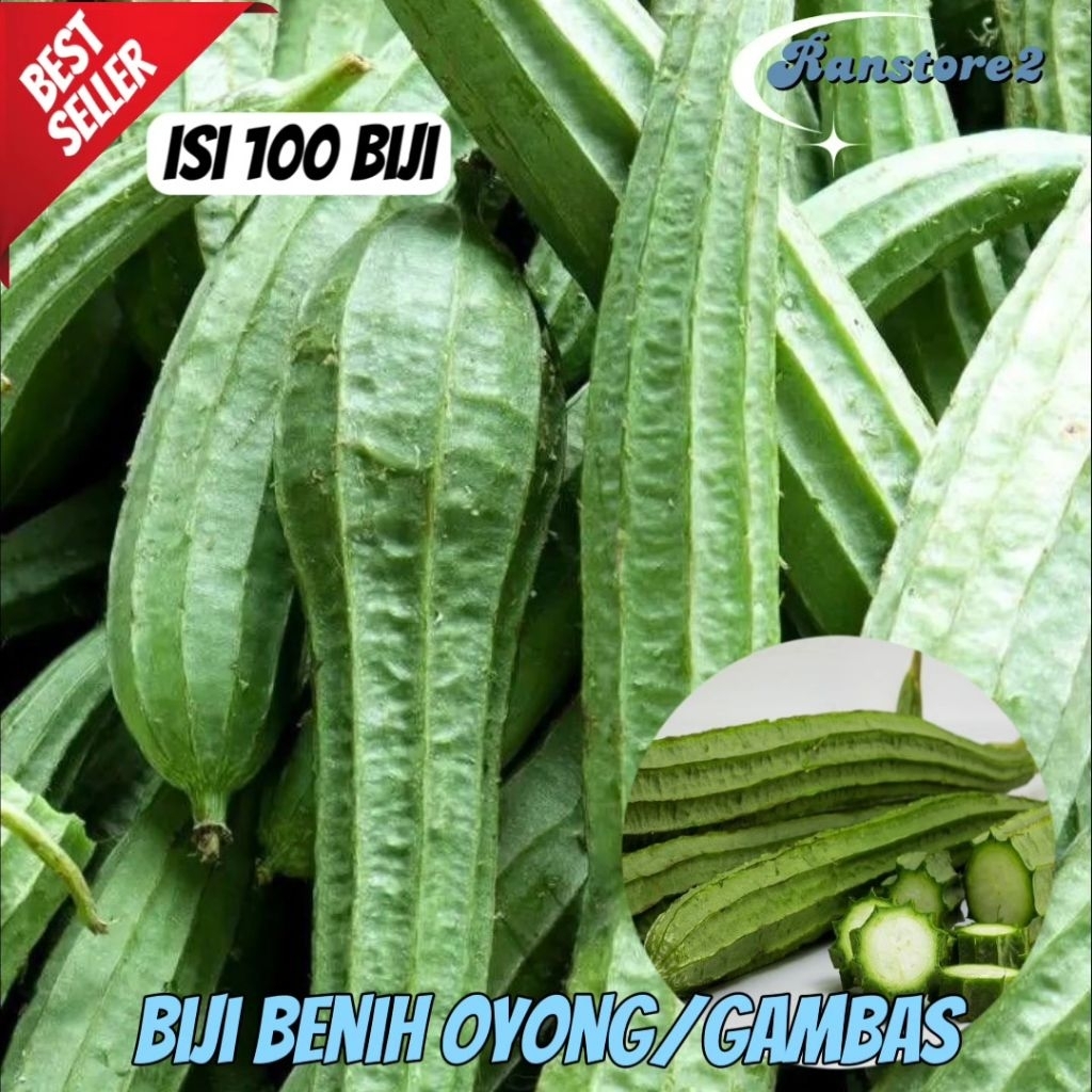 

(100±) biji benih oyong/gambas