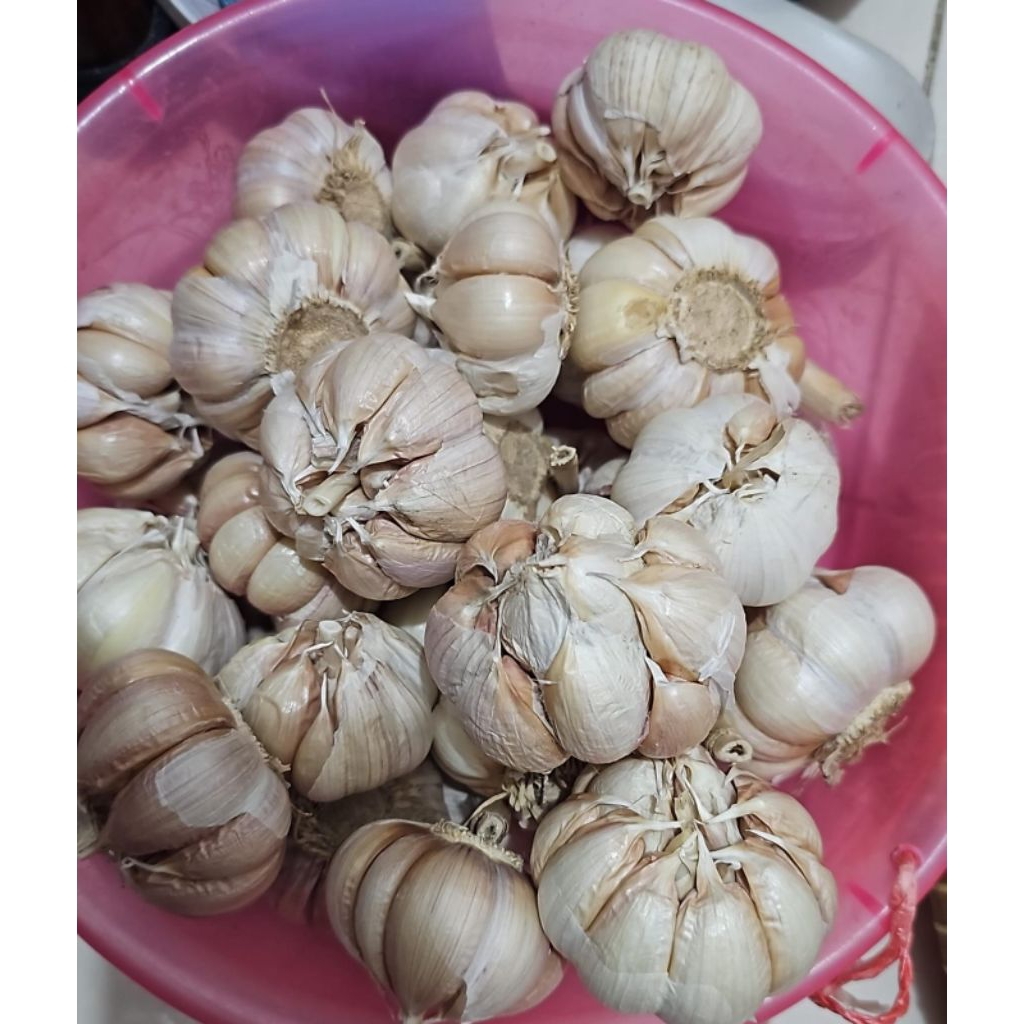 

bawang putih fresh kualitas terbaik murah meriah 1000gr/1kg