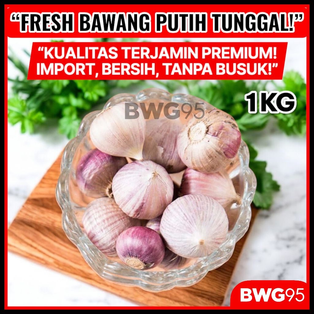 

Bawang Putih Tunggal 1kg 1 KG 1 kilogram 1000gr / Bawang Lanang Fresh 1kg 1kilogram / Bawang Putih Lanang 1000gr Fresh Import Baru / Bawang Tunggal Kecil Sedang Besar Jumbo 1KGram Fresh Termurah Import / Bawang Tunggal Import