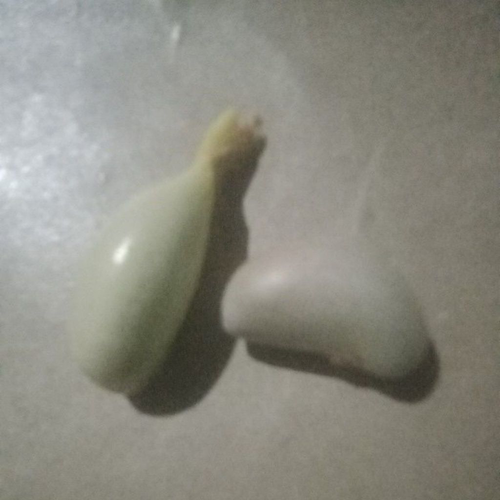 beton biji nangka 1kg