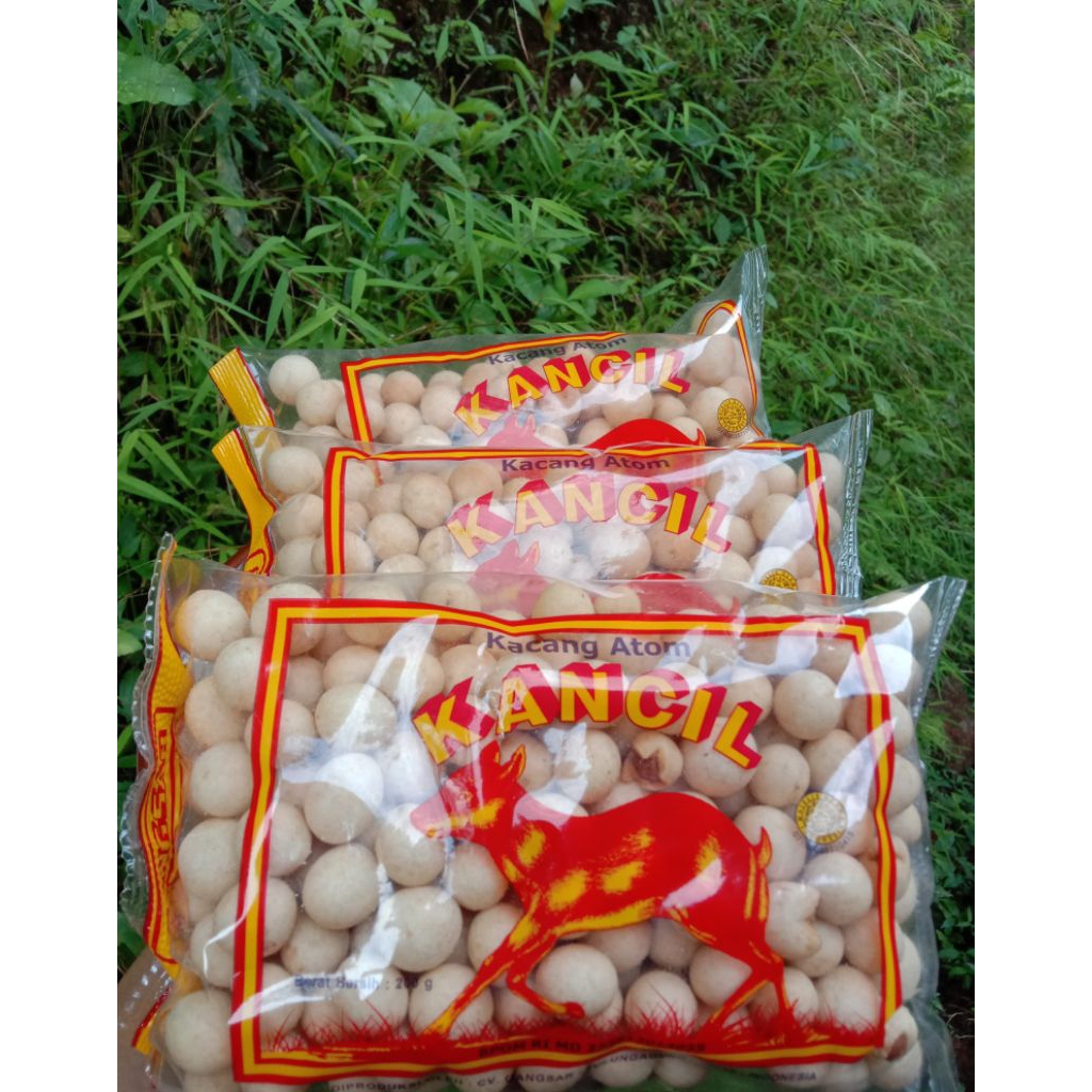 

Kacang Atom Kancil Cemilan Enak Renyah, Gurih
