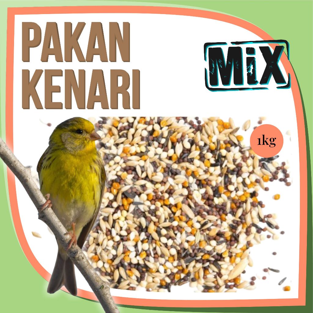 Pakan Kenari 1 Kg Campur Kiloan Premium Tinggi Biji Sawi Kenari Niger Seed Milet Merah Milet Putih