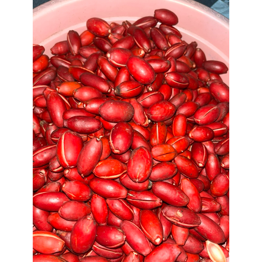 

1kg kulit melinjo mentah full mateng siap masak,BERGARANSI BUSUKK!!