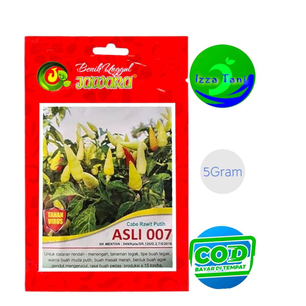 Benih Cabe Rawit Putih Asli 007 Tahan Virus Cabe Rawit Tegak