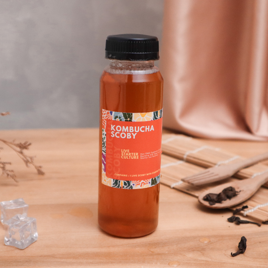 

Starter KOMBUCHA Premium | Biang Teh Fermentasi Tanpa SCOBY by. MADAMBUCHA