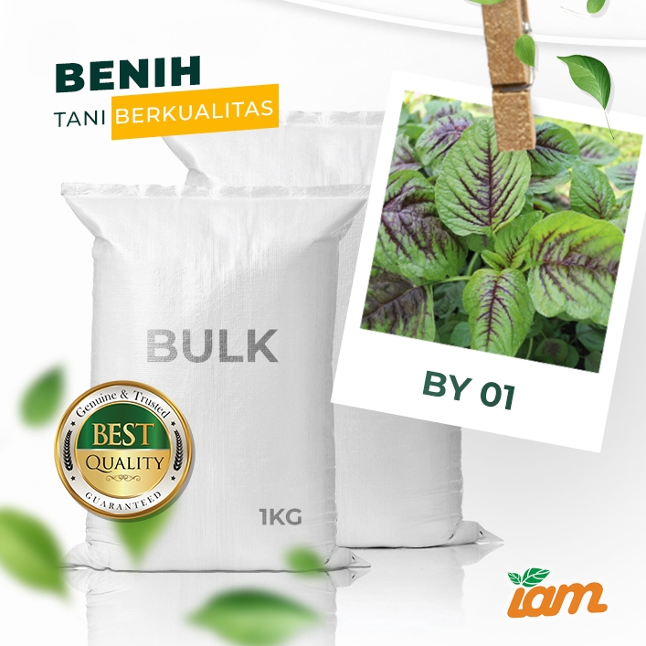 

BULK 1kg – bayam belang OP (BY 01)