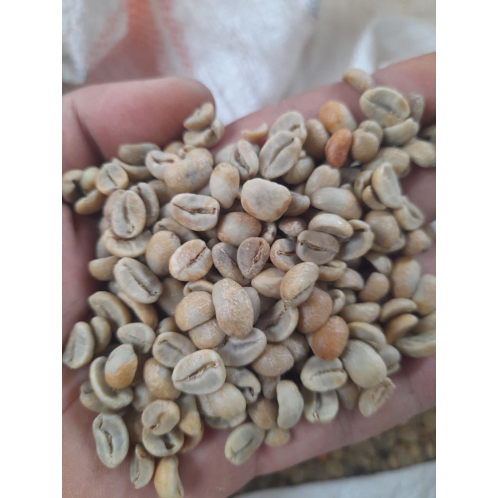 

arabika natural