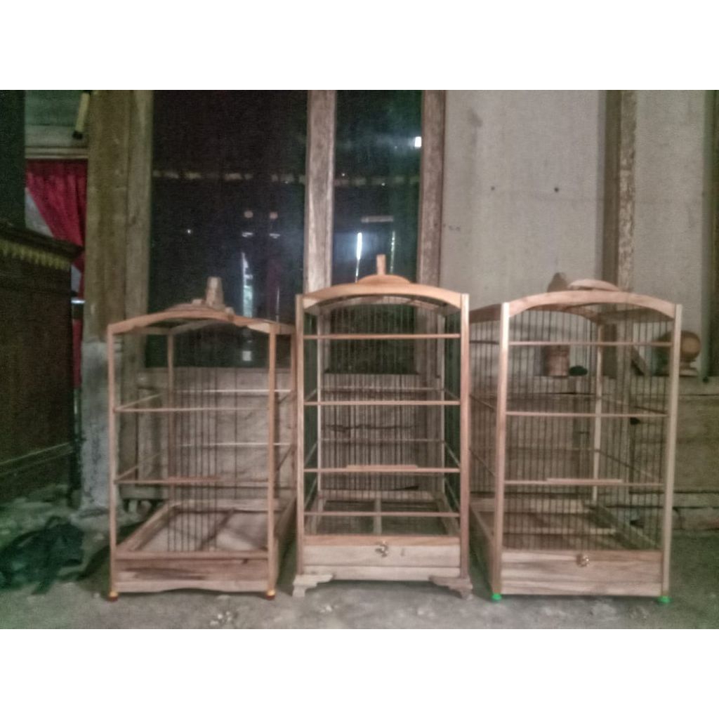 Sangkar burung kosan ambrukan alusan 40×40