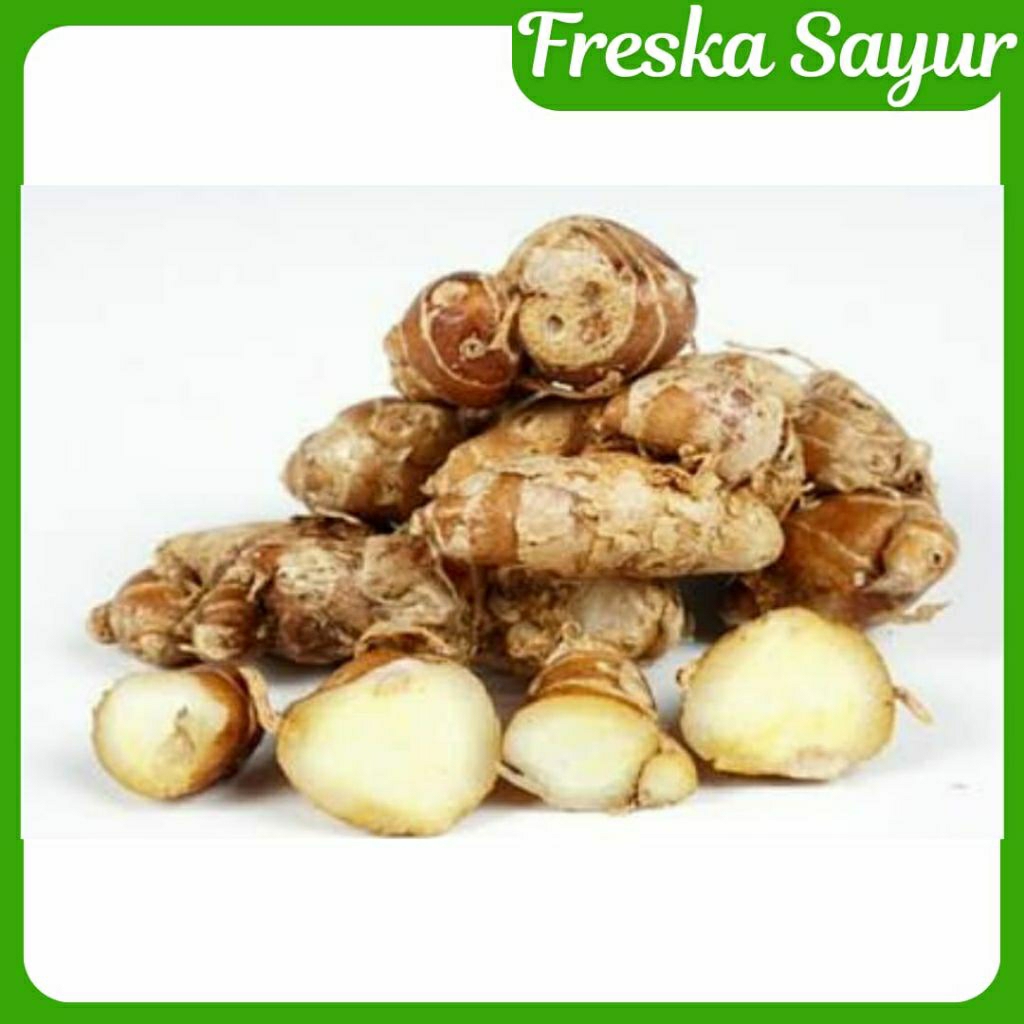 

Kencur 100 gr I Kencur Fresh Ukuran Sedang