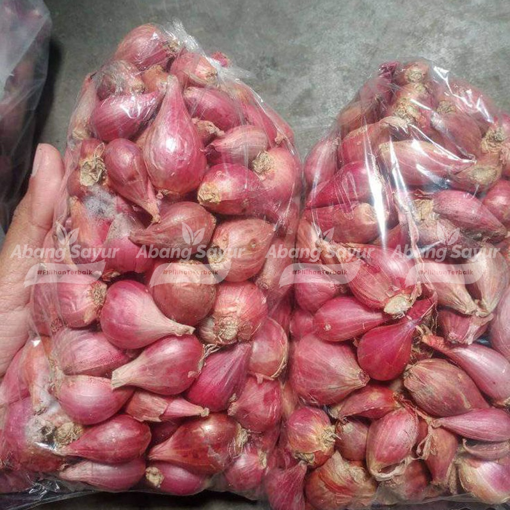 

Bawang Merah Brebes 500gr Asli - Kirim Instant Bandung Sayur Segar (Fresh Harian)