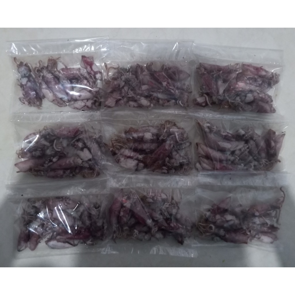 

Ikan Cumi Asin atau Sotong