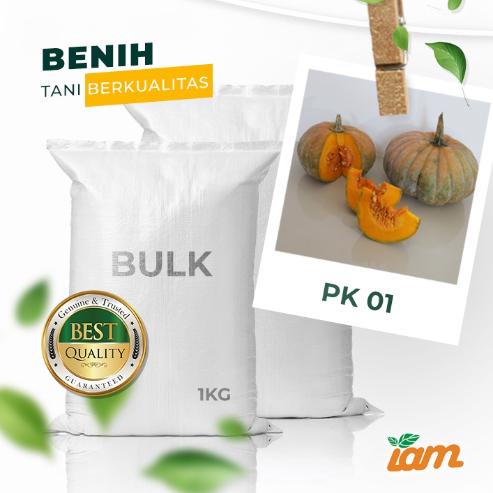 

BULK 1kg – labu hijau F1 (PK 01)
